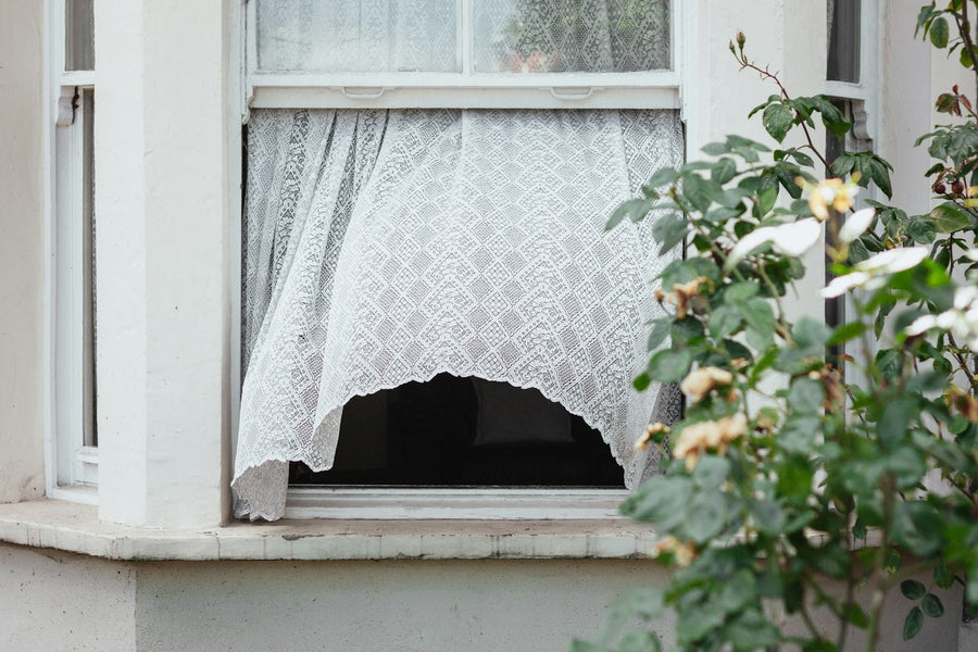 A white sash window pushed up from the bottom with a lace curtain billowing outward, seen from outside beside a rose bush.