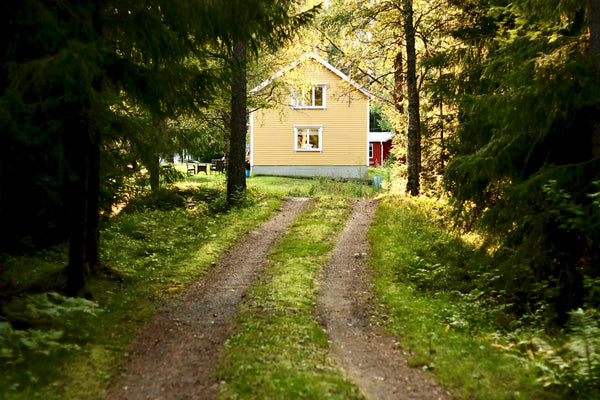 A long grassy gravel driveway through tall trees leading to a yellow wooden house in afternoon light.