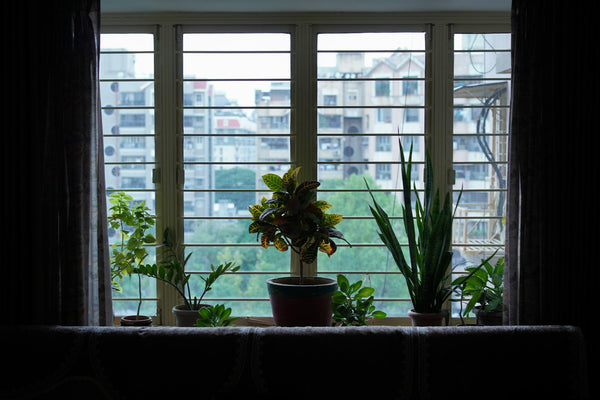Ground-Floor Apartment Security: A Renter's Complete Guide