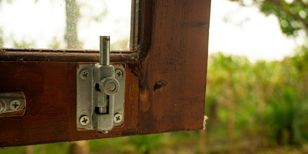 Close-up of a metal barrel-bolt latch screwed to a dark wooden window frame, with green foliage soft behind the glass.