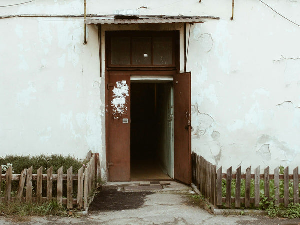 An open brown back door leading into a dark hallway