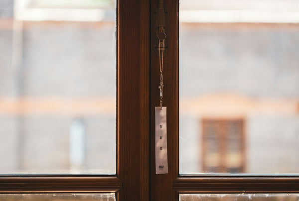 Close-up of a window with a metal pull tab on the sash